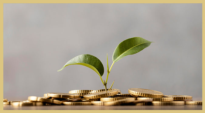 Small-Cap Stocks and PMS: The Simple Path to Growing Your Wealth