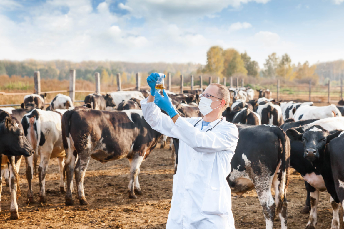 Veterinary Products Manufacturers in Mizoram and the Growth of Veterinary Medicine Companies in India